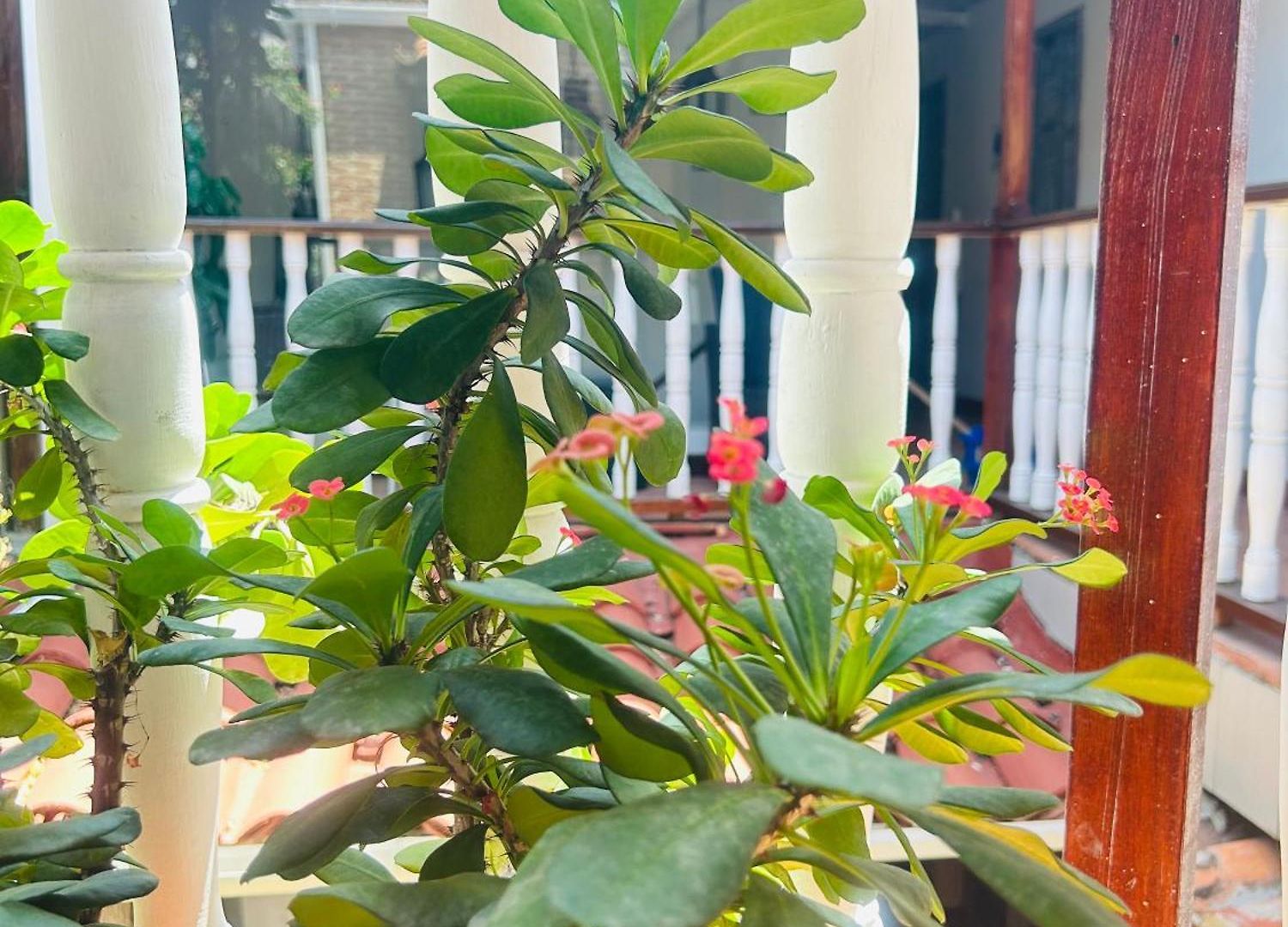 Galeria La Trinidad 3*