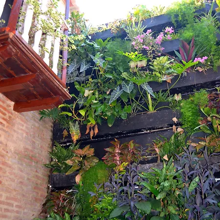 Galeria La Trinidad Hotel