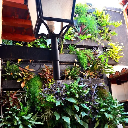 Galeria La Trinidad Hotel