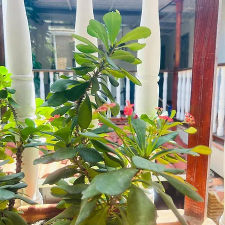 Galeria La Trinidad 3*