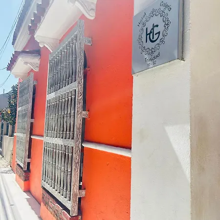 Hotel Galeria La Trinidad