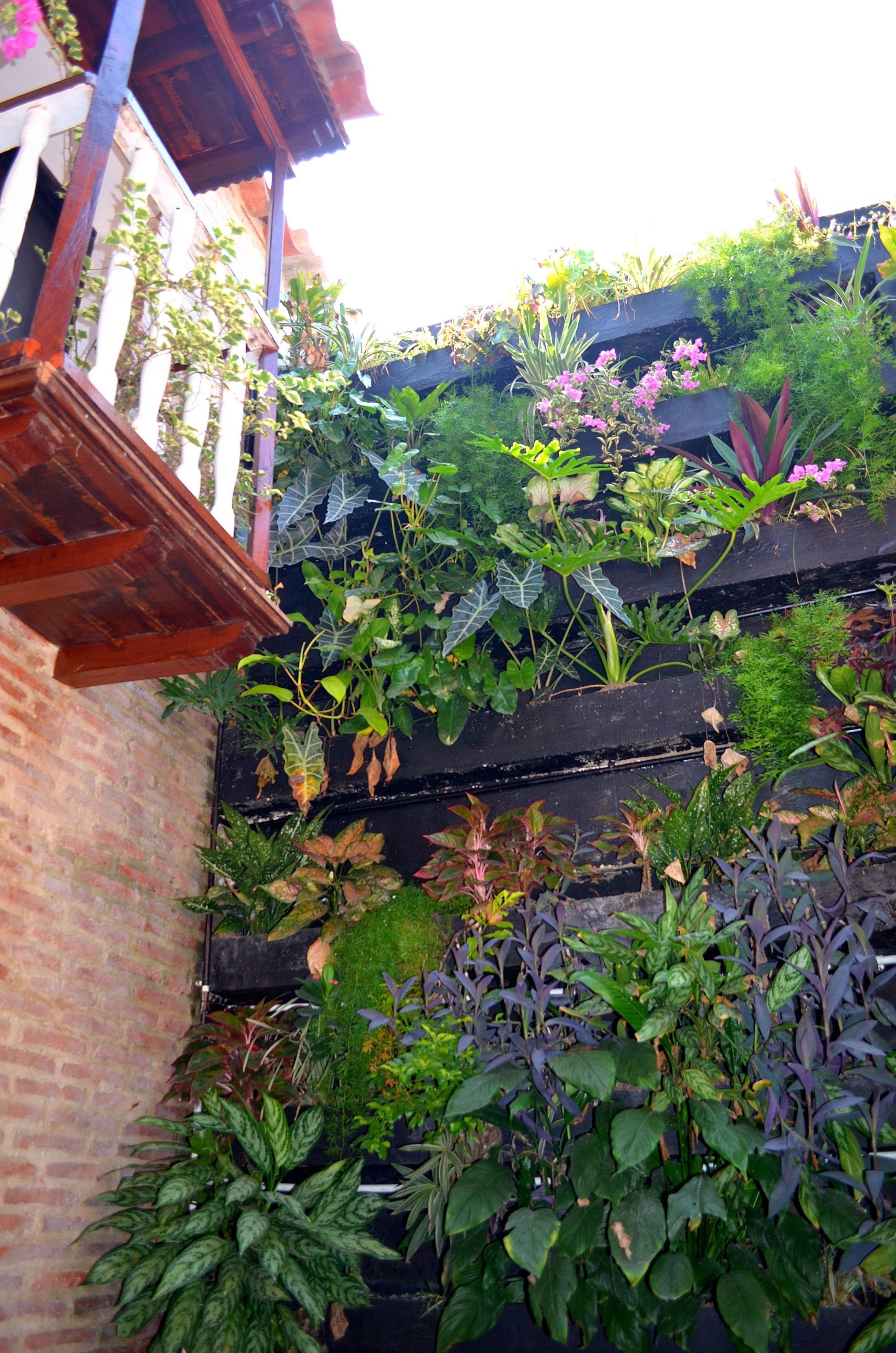 Galeria La Trinidad Hotel