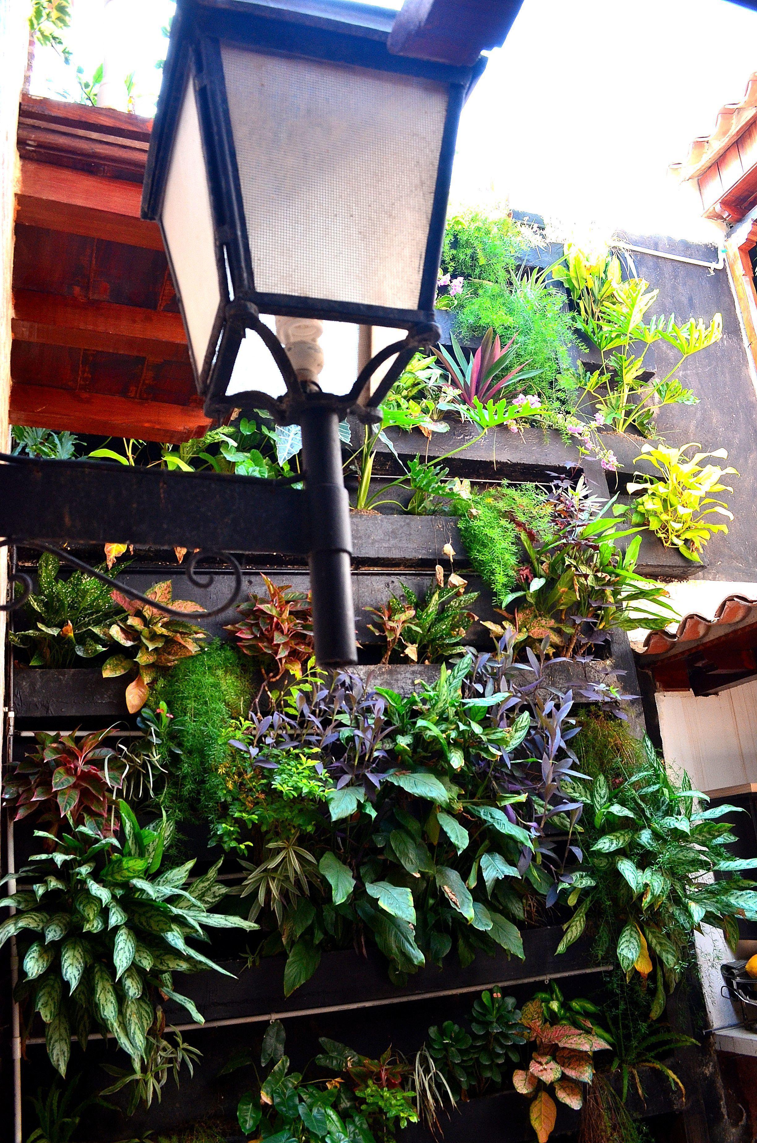 Galeria La Trinidad Hotel